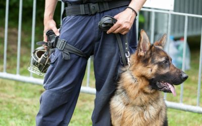 NSW Police Release Sniffer Dog Procedures