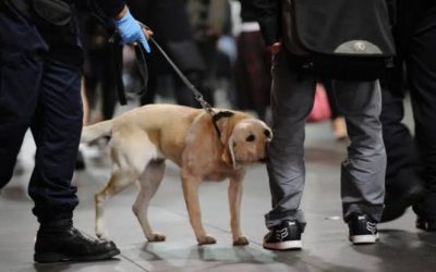 A new sniff test from the Coroner